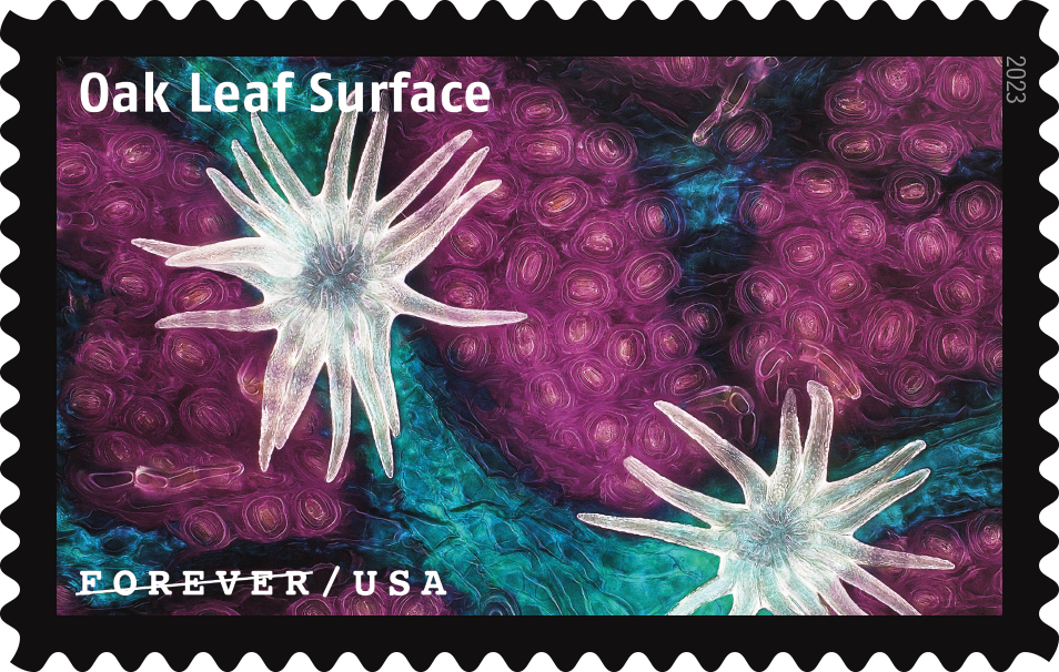 2023 Life Magnified Stamps - Forever Stamps