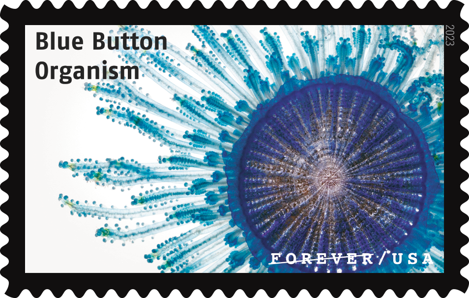 2023 Life Magnified Stamps - Forever Stamps