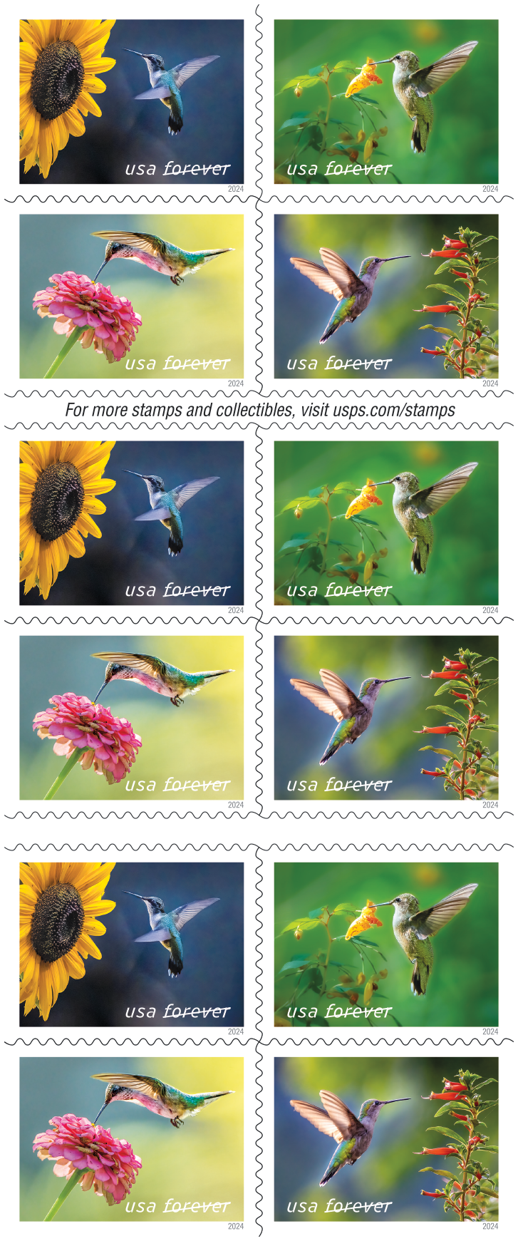 2024 Garden Delights Stamps - Forever Stamps